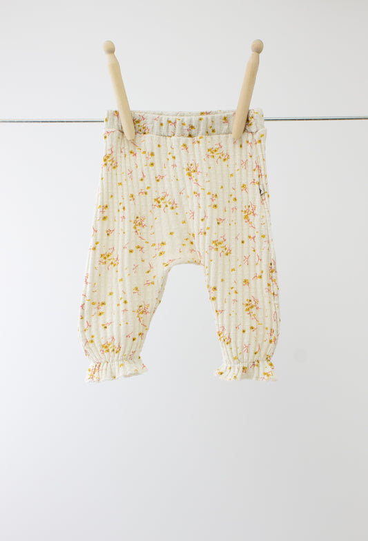 Ammehoela - Broek