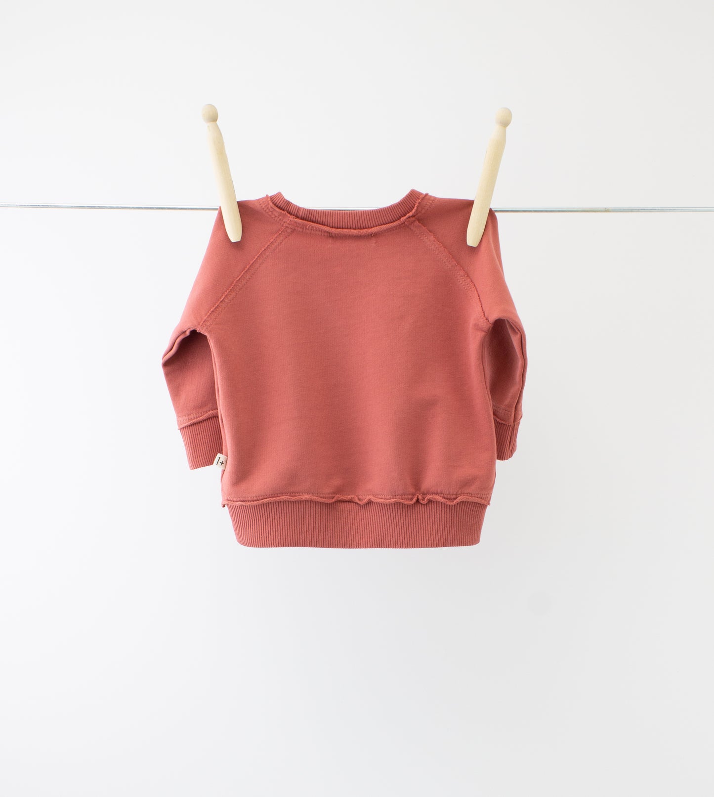 1+ in the family - Sweater