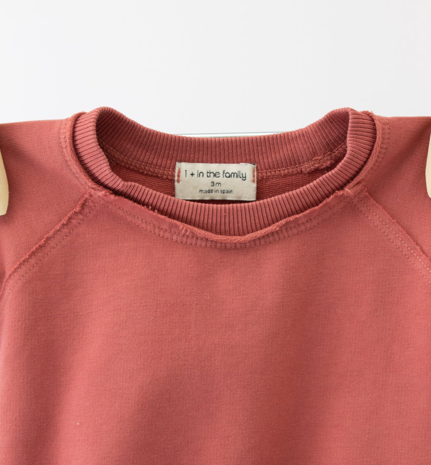 1+ in the family - Sweater