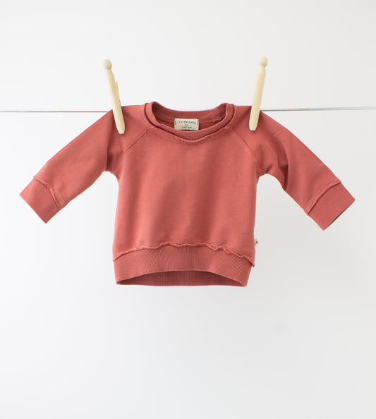 1+ in the family - Sweater